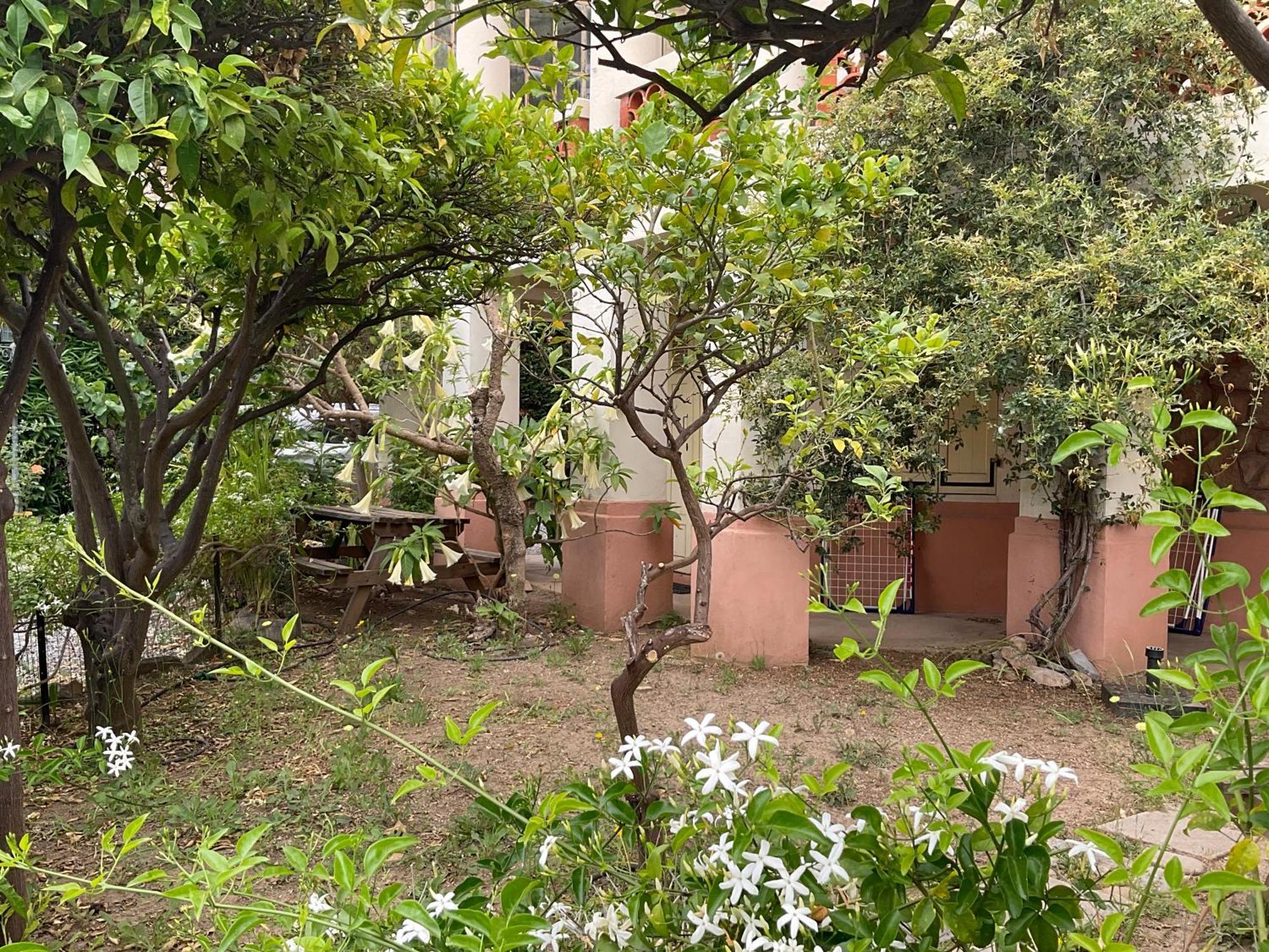 Villa La Provence Hyères Esterno foto