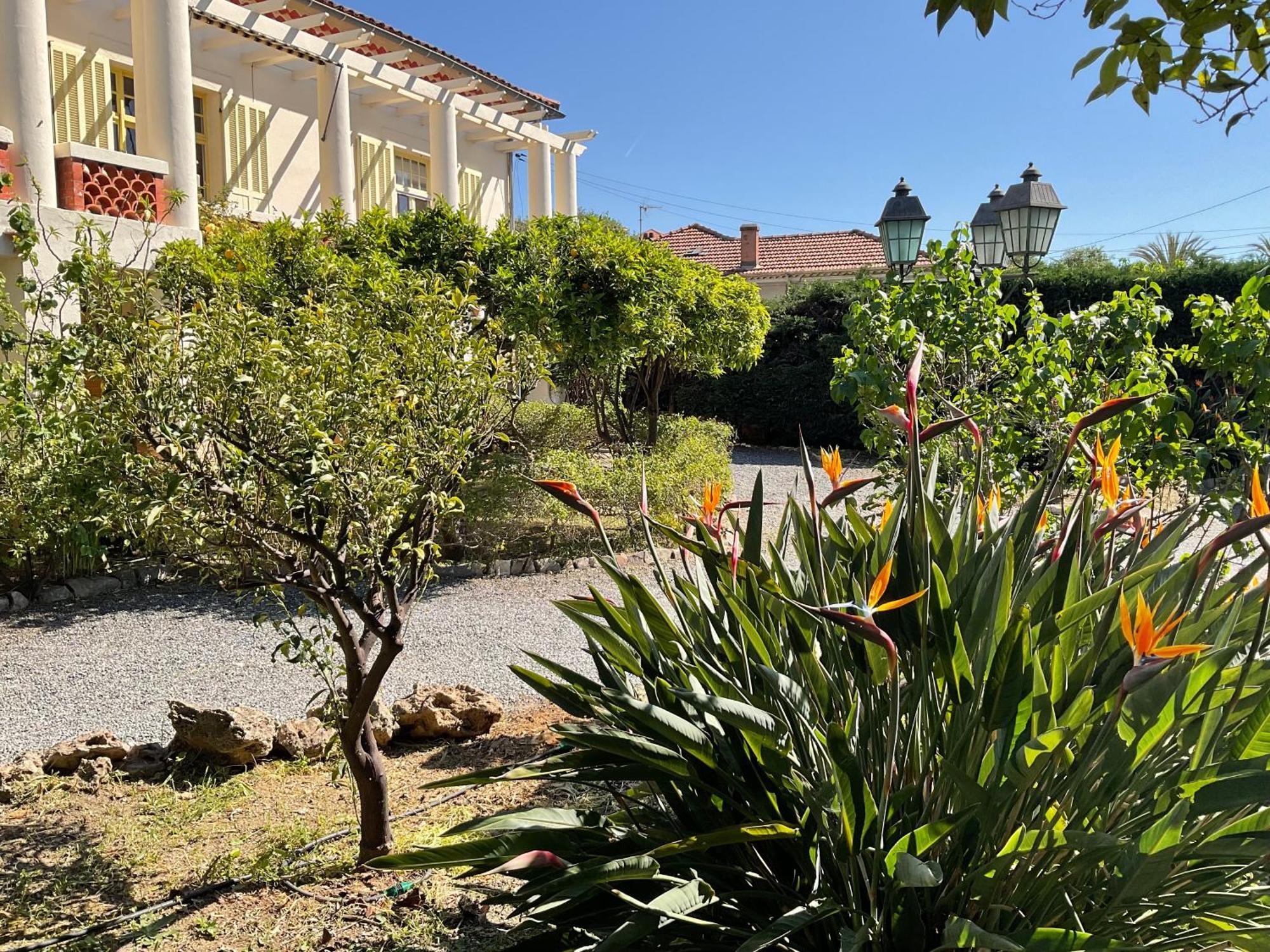 Villa La Provence Hyères Esterno foto