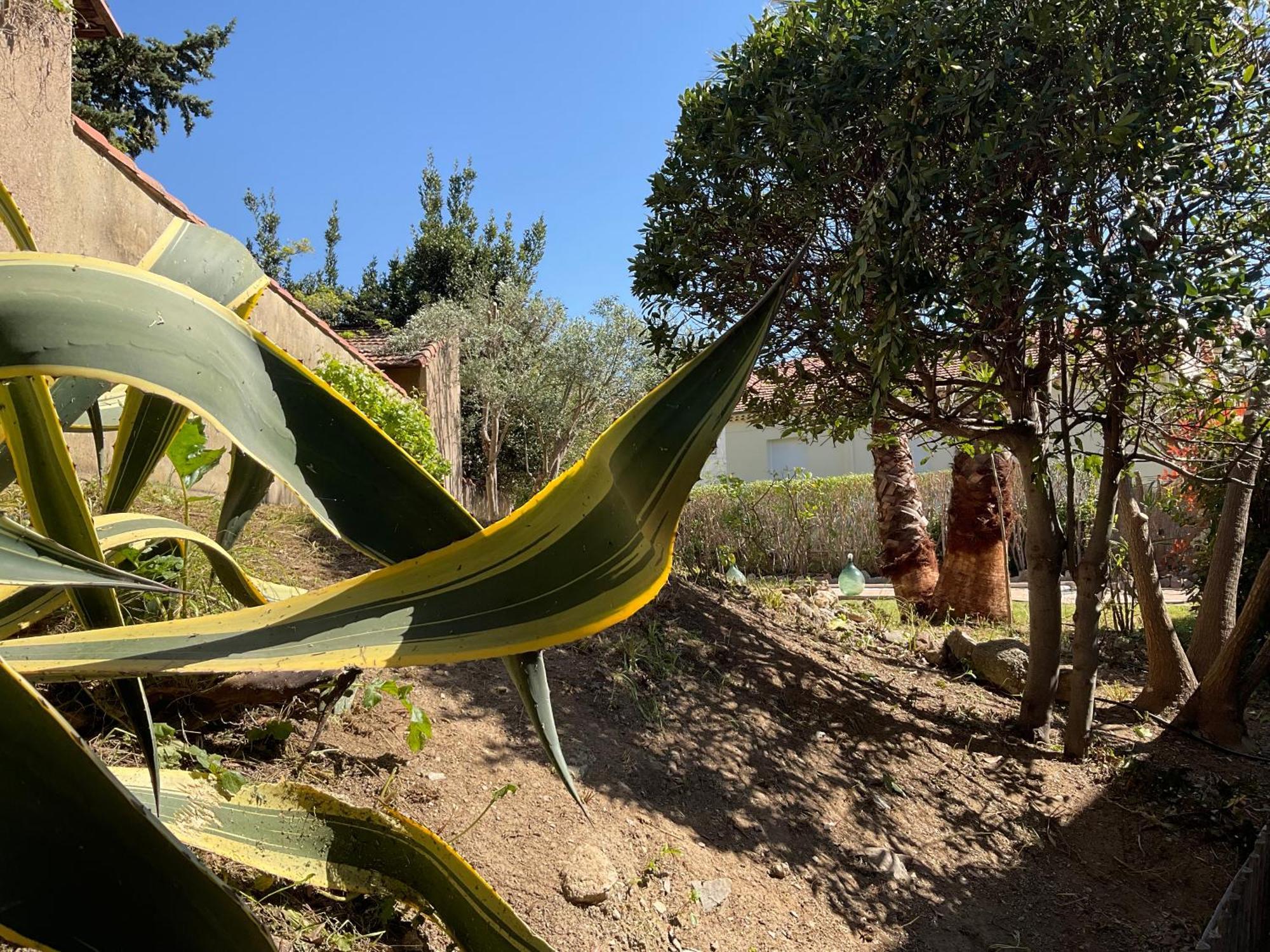 Villa La Provence Hyères Esterno foto