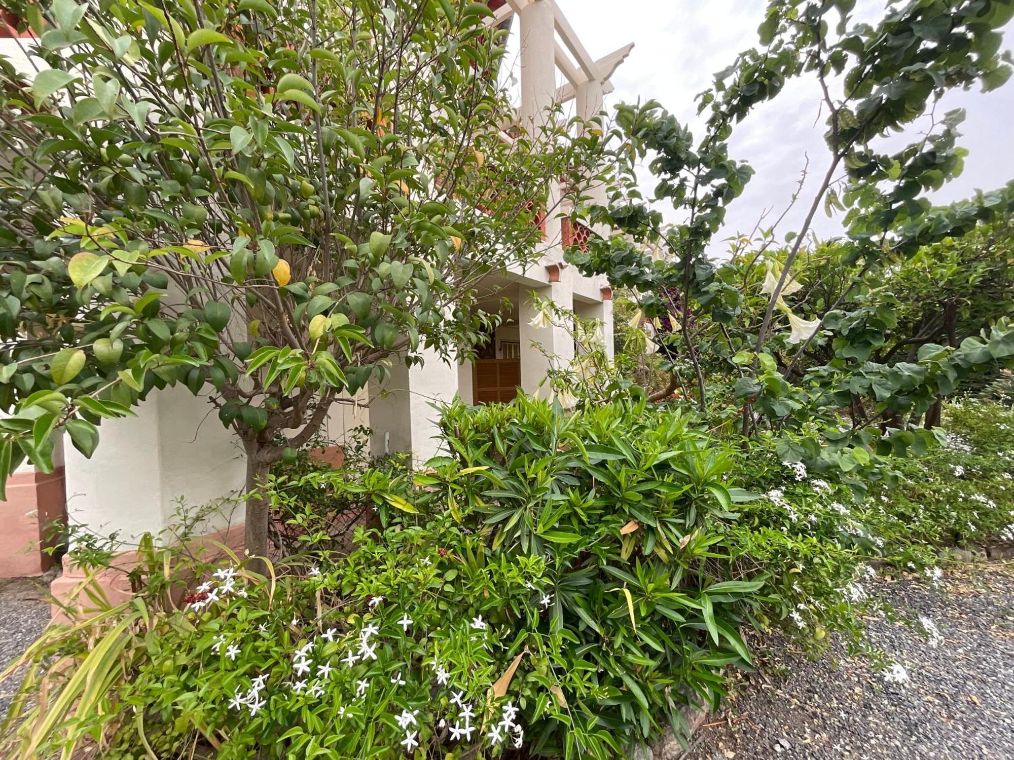 Villa La Provence Hyères Esterno foto