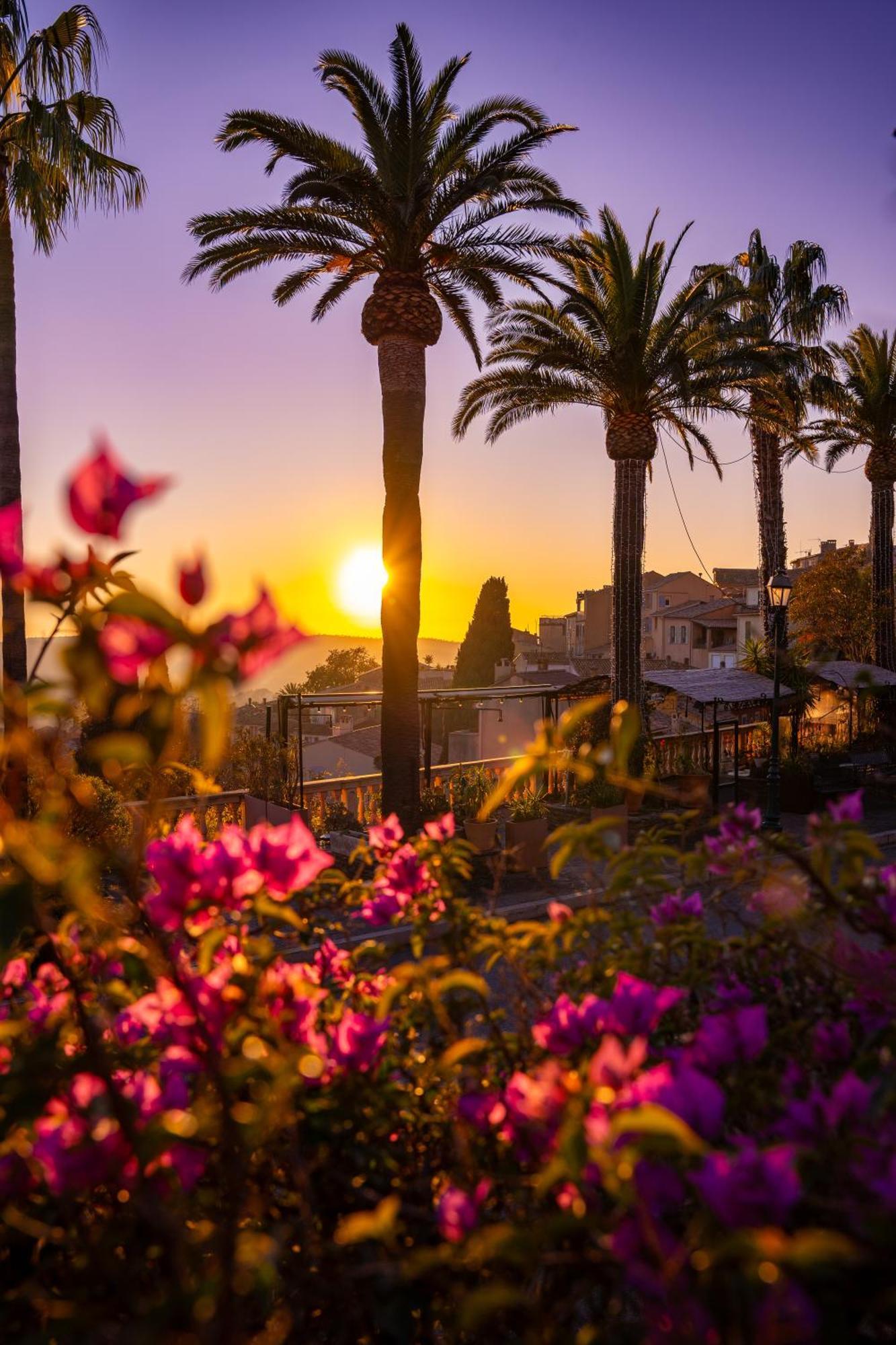 Villa La Provence Hyères Esterno foto
