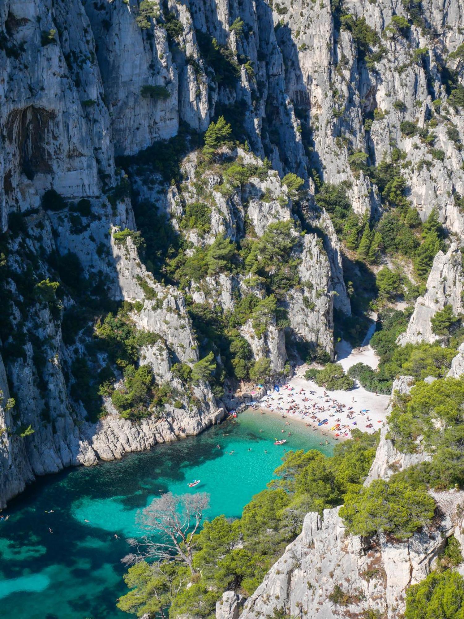 Villa La Provence Hyères Esterno foto