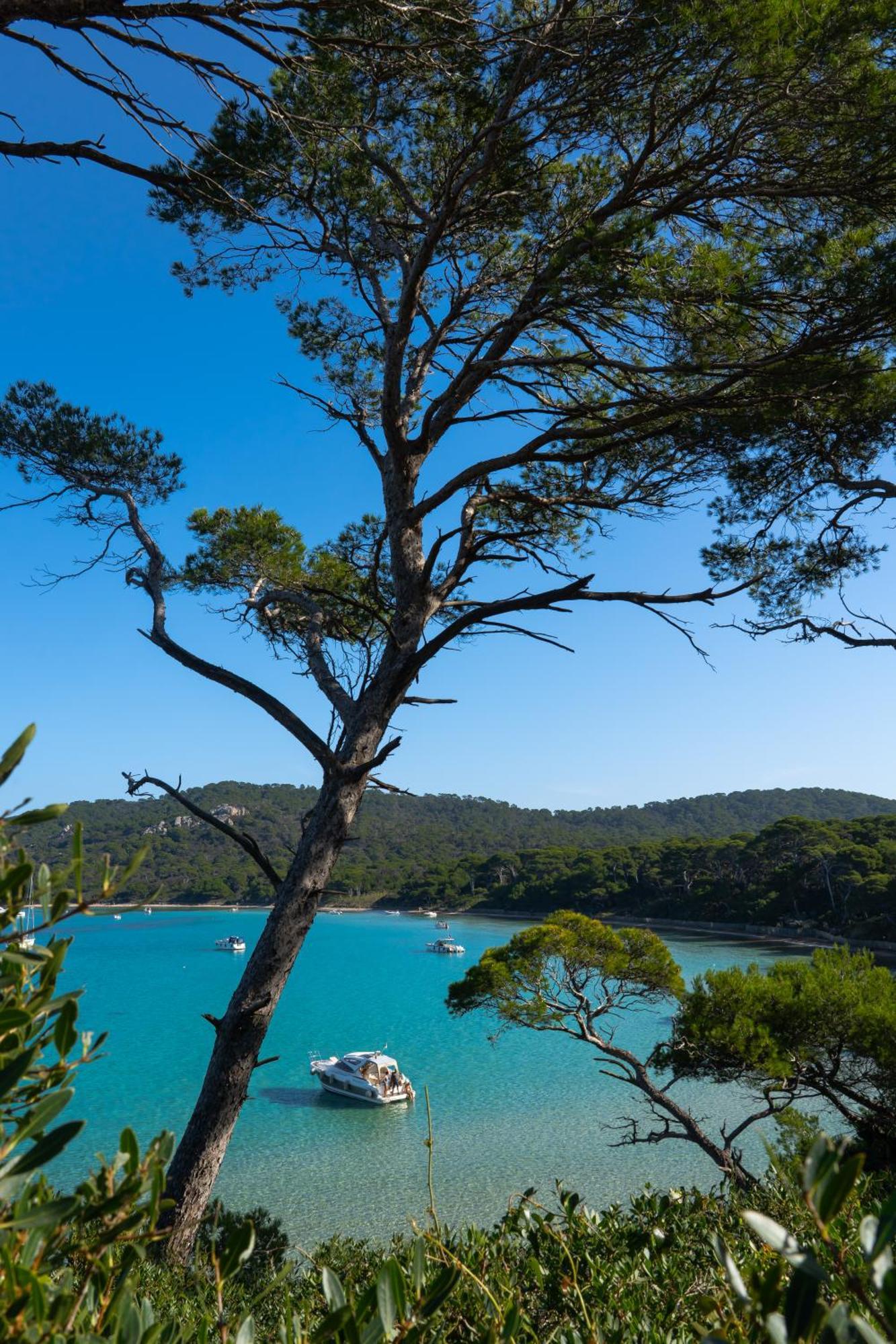 Villa La Provence Hyères Esterno foto