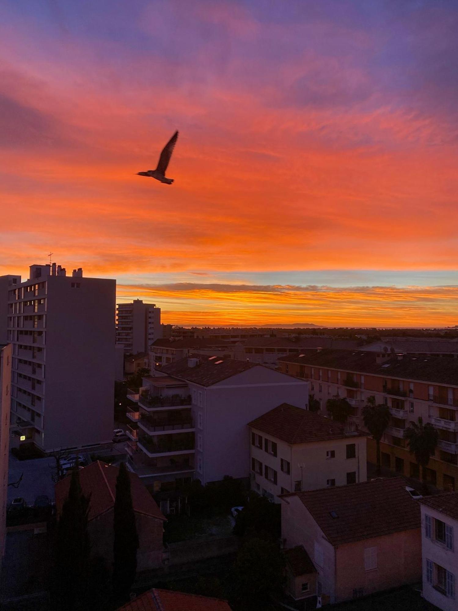 Villa La Provence Hyères Esterno foto