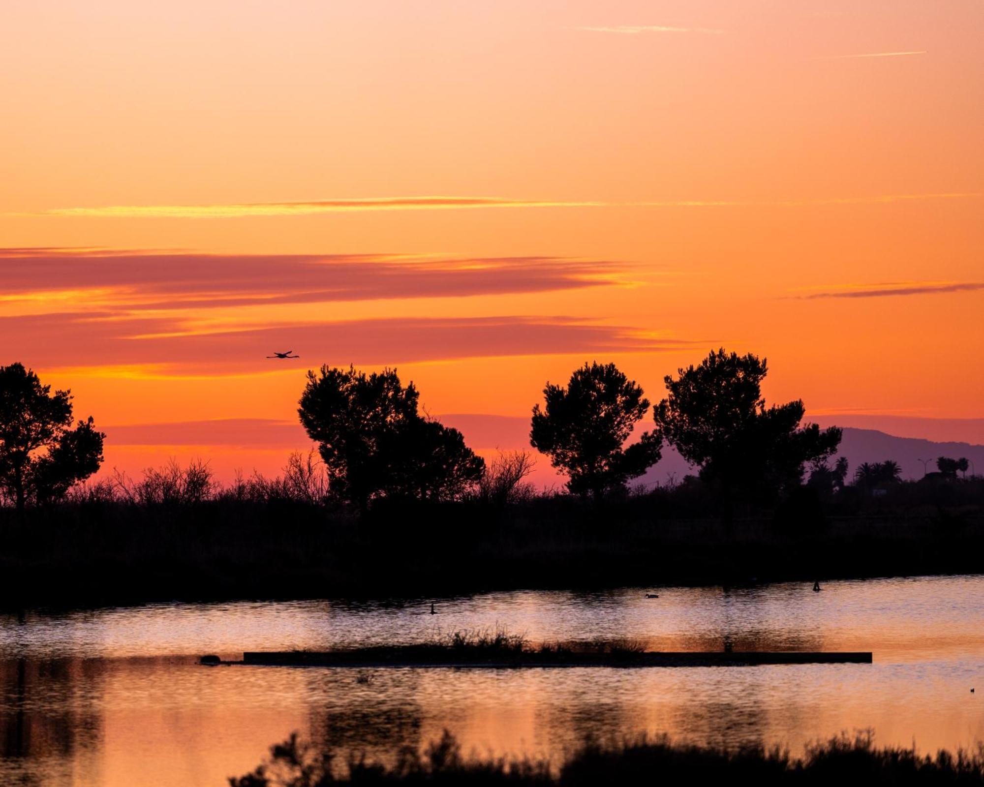 Villa La Provence Hyères Esterno foto